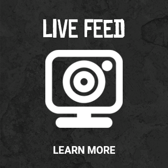 Live Feed